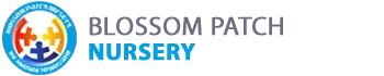 Blossom Patch Nursery